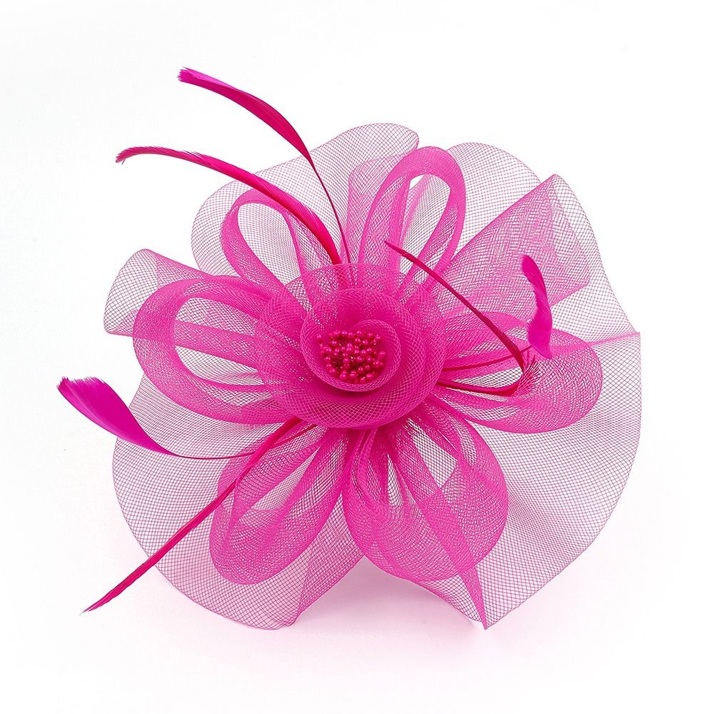 Fascinateur de ruban de plumes - Women'S Fashion Kentucky Derby avis et prix