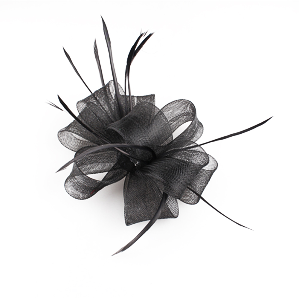 Chapeaux Fascinator à Plumes e - Women'S Fashion Kentucky Derby avis et prix